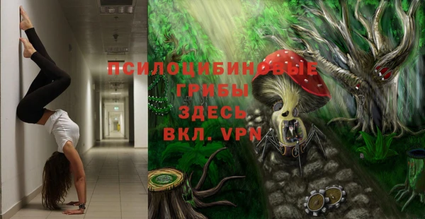 дживик Беломорск