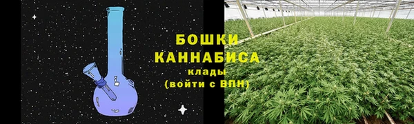 дживик Беломорск